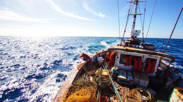 Top kit da pesca in mare per ogni avventura indimenticabile